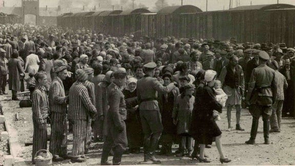 Ungarische Juden kommen im Juni 1944 in Auschwitz an.