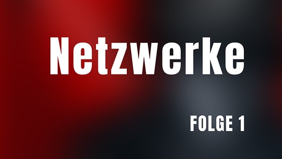 Folge 1: Netzwerke