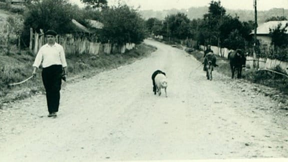 Entlang des Weges laufen Männer mit ihrem Vieh.