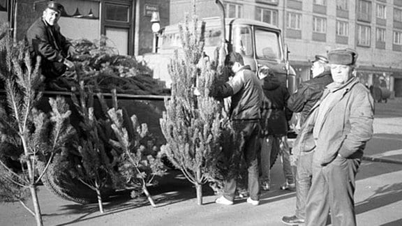 Männer beladen einen Laster mit Weihnachtsbäumen in den 80-er Jahren in Leipzig