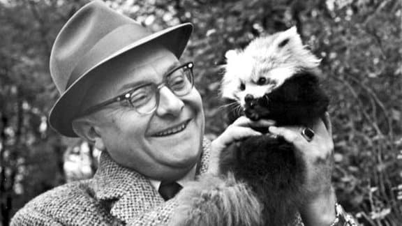 Tierparkdirektor Heinrich Dathe mit einem Katzenbär