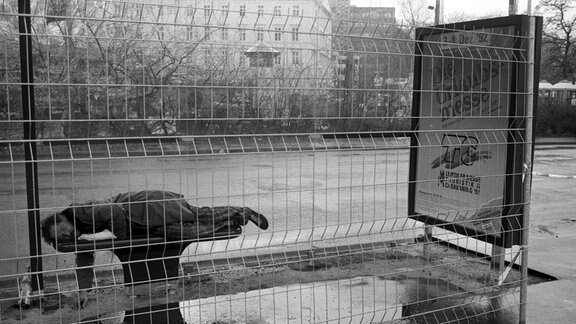 Ein Mann schläft auf der Bank einer Straßenbahnhaltestelle.