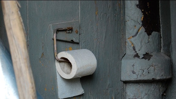 Blick in ein Klo. An einer Holzwand hängt eine Rolle Toilettenpapier.