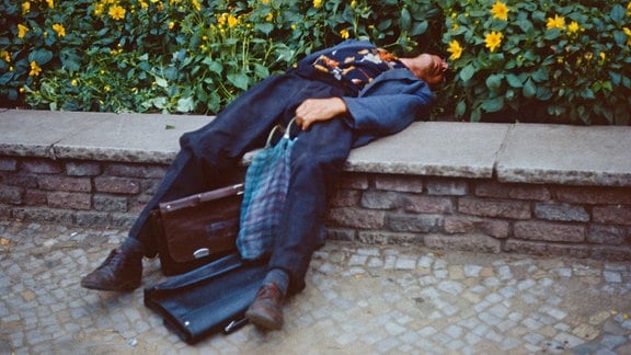 Ein Mann liegt betrunken in einem Blumenbeet