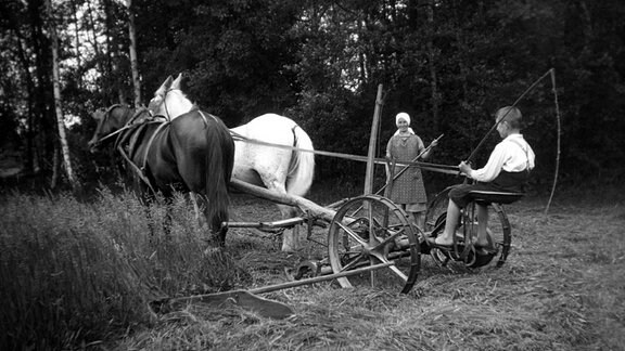 Frau mit Sohn mit Pferdefuhrwerk bei der Getreideernte, 1922