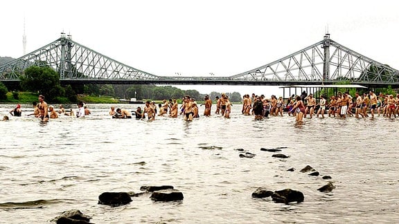 Badegäste während des 5. Elbe Schwimmens in Dresden