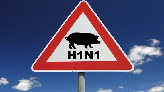 Schweinegrippe Verkehrszeichen