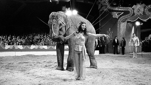 Schauspielerin Renate Blume (DDR) mit Elefanten, 1976 sw