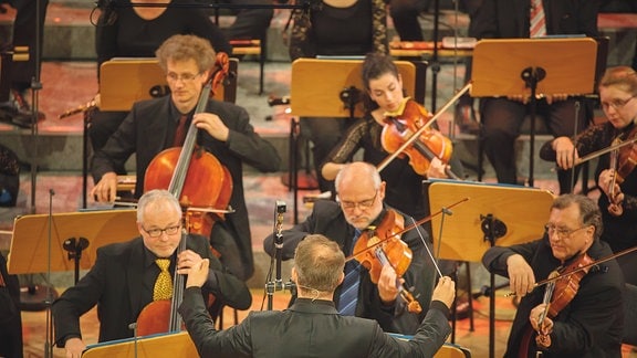 Dirigent und Streicher beim Finalkonzert zum Händel-Experiment