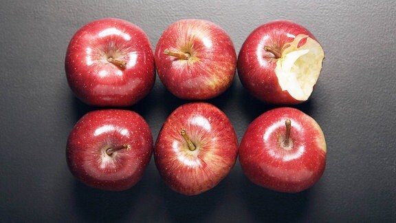 sechs rote Äpfel, einer abgebissen.