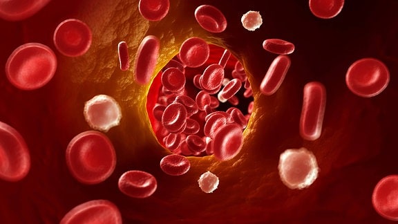 Computergrafik Blutkörperchen in einer verengten Arterie