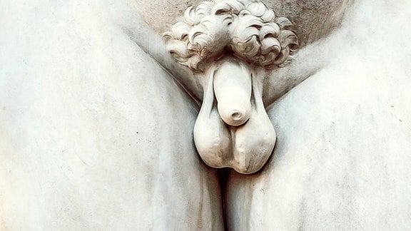 Der in Marmor gehauene Penis von Michelangelos David-Statue.