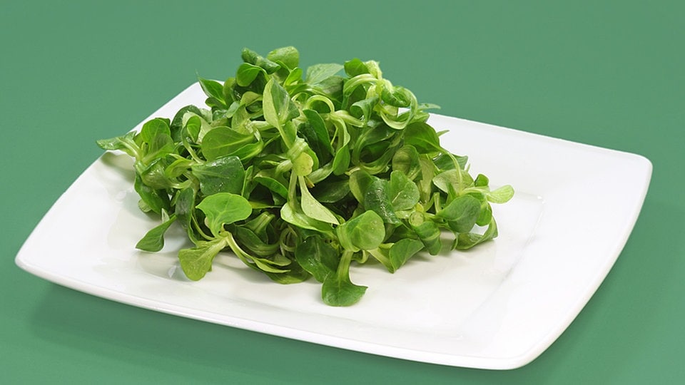 So wird Blattsalat leichter verdaulich | MDR.DE