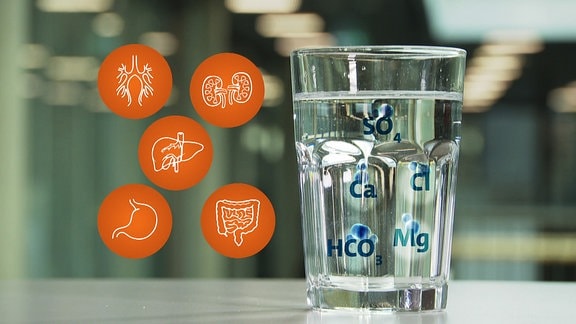 Aufnahme eines Wasserglases mit grafischen Einblendungen zur Visualisierung von Elementen und Gesundheitsaspekten