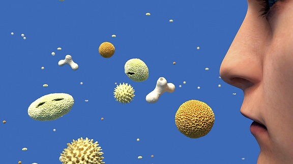 Symbolfoto - Pollenallergie. Übergroße Pollen fliegen durch die Luft.