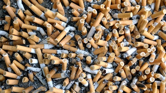 Viele ausgedrückte Zigaretten
