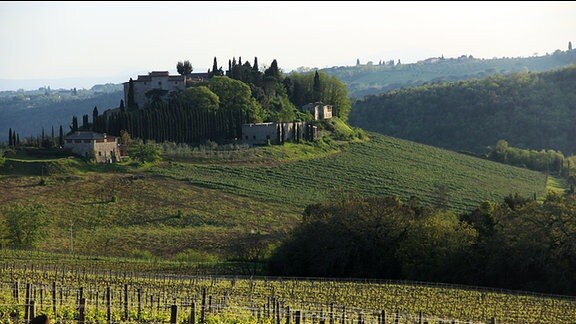 Gebäude im italienischen Stil in toskanischer Landschaft auf einem Hügel. Im Vordergrund sind mehrere Weinstöcke zu sehen.