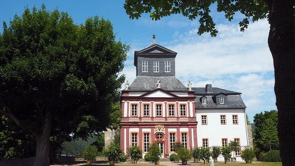 Das Schloss Schwarzburg zwischen grünen Bäumen