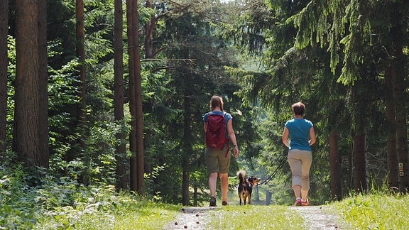 Wanderführerin Katharina Eichhorn und Heute auf Tour-Moderatorin Katja Schmidt gehen nebeneinander über einen Waldweg, in der Mitte läuft ein Hund.