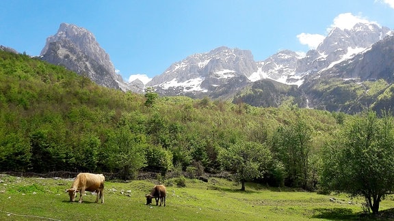Landschaft in Albanien