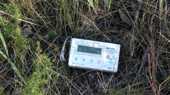 Ein Strahlenmessgerät liegt im Grass und zeigt 2,61 millisievert an.