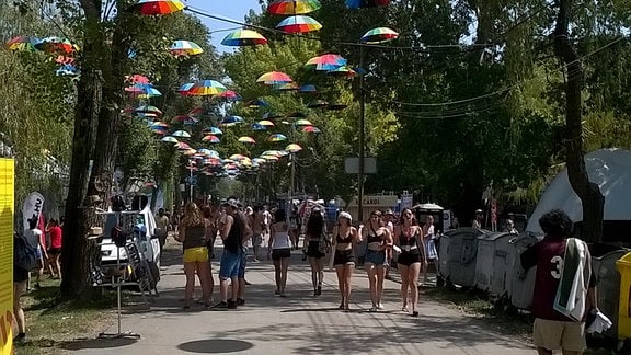 Sziget-Festival