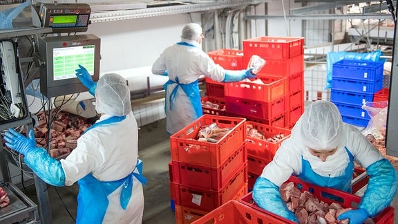 Rindfleisch wird in einem Kühlhaus des Fleischunternehmens Tönnies verpackt