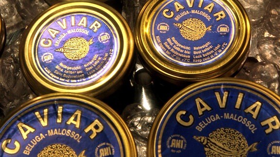Gläser der Sorte Beluga Malossol (Kaviar)
