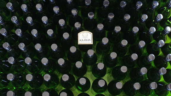 Flaschen gefüllt mit serbischen Rakija