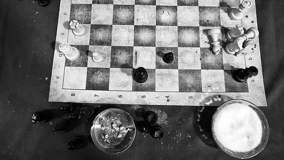 Schach Umsonst Schach Umsonst