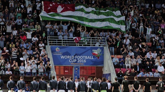 Conifa Wm Conifa Wm