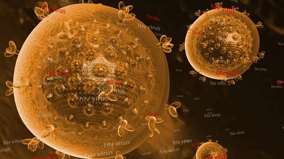 Hiv spritze - Die preiswertesten Hiv spritze ausführlich verglichen