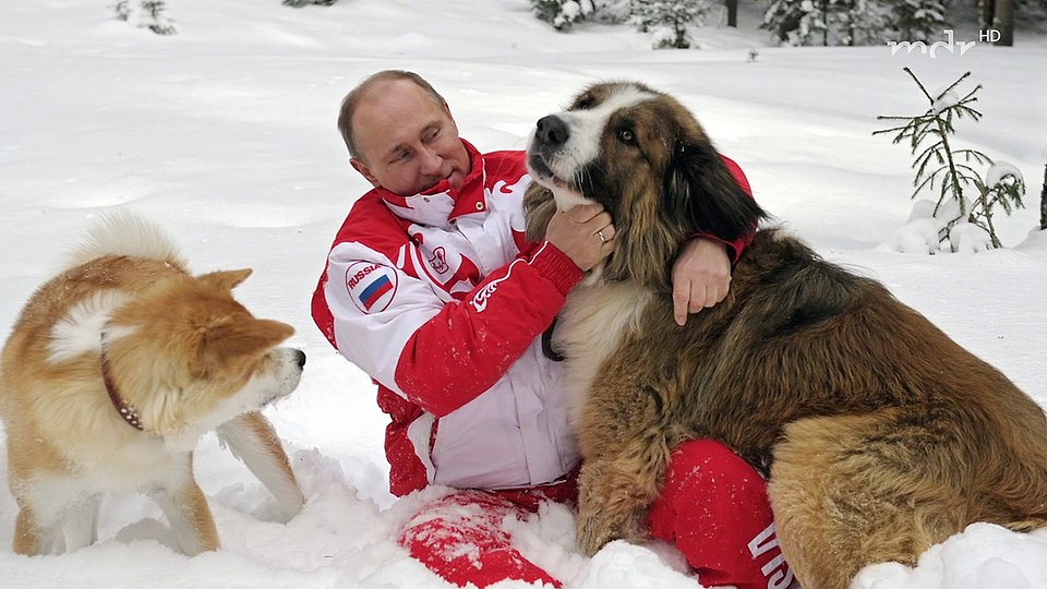 Hund Sieht Aus Wie Putin Putin und die Hunde | MDR.DE