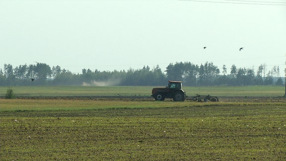Ein Traktor auf einem Feld