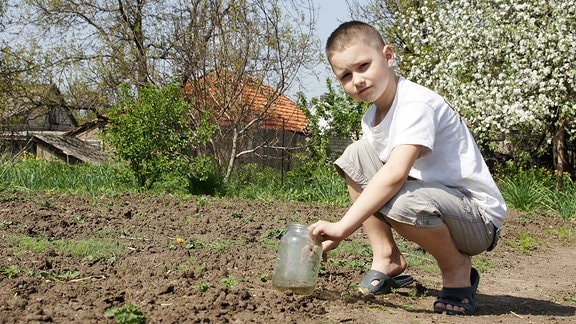 Junge hockt an einem Gartenbeet