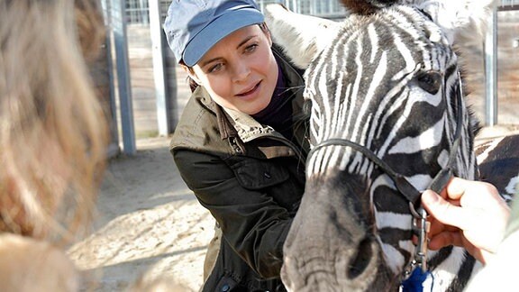 Dr. Mertens (Elisabeth Lanz) muss den neuen Zebrahengst behandeln, der eine kleine Schürfwunde hat.