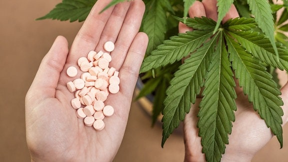 Eine Hand hält ein Cannabisblatt und die andere Tabletten.
