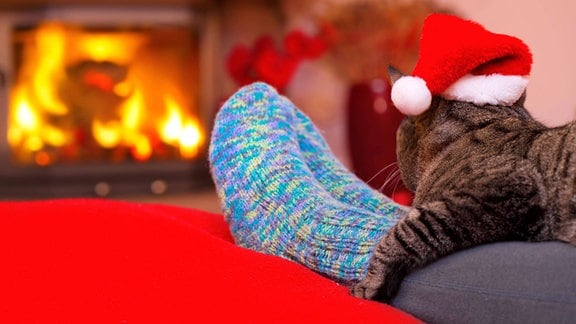 Symbolbild: kalte Füße - Eine Frau wärmt ihre Füße mit Wollstrümpfen, Kaminfeuer und einer Katze