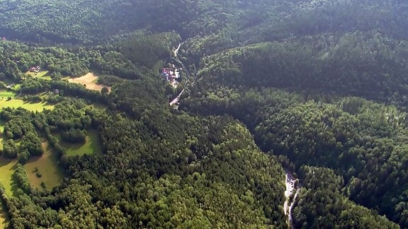 Waldlandschaft von oben.