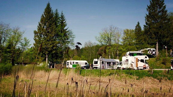Campingwagen stehen im grünen Dickicht
