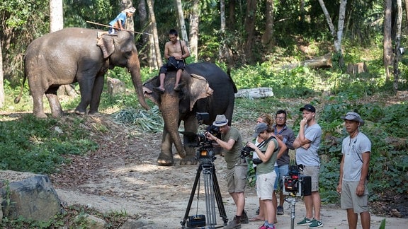 Drehteam vor Elefanten bei Dreharbeiten in Thailand im Februar 2018