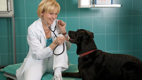 Andrea Kathrin Loewig (Oberärztin Dr. Kathrin Globisch) mit Ronja (Labrador-Schäferhund Mischling)