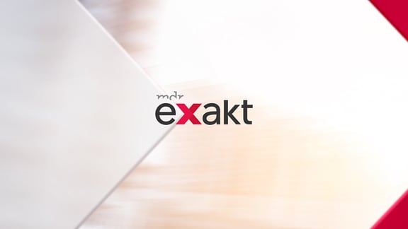 Logo "exakt"
