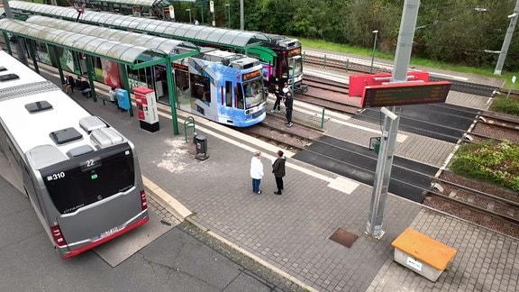 Straßenbahnen und ein Bus an einer Haltestelle.