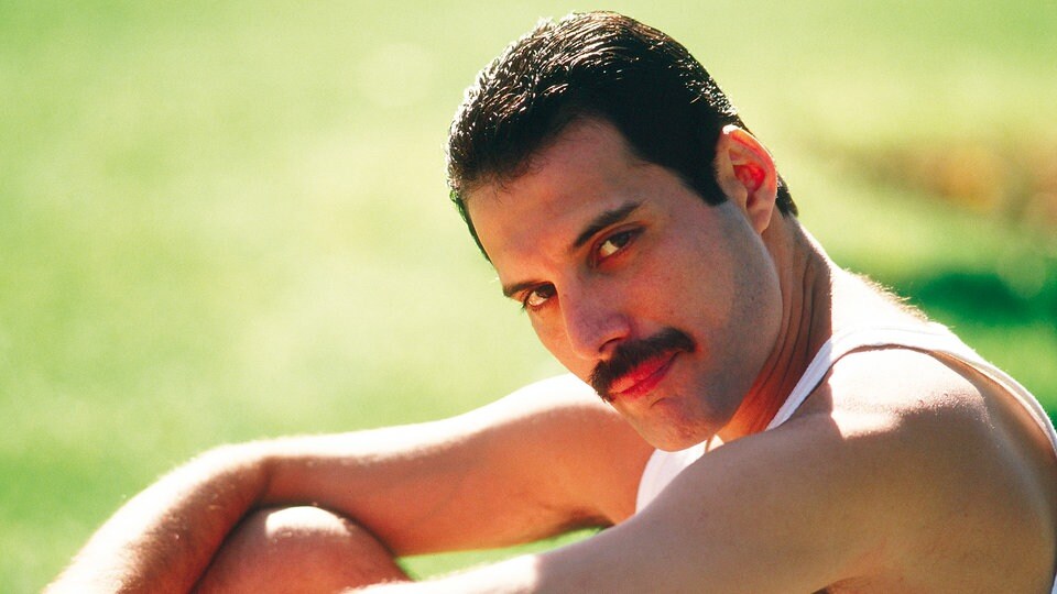 The Great Pretender Von Freddie Mercury Mdr De