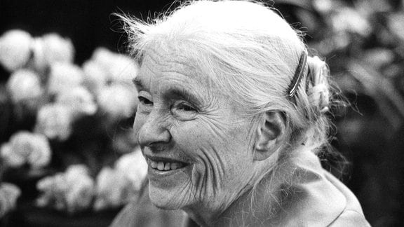 Die Schriftstellerin Anna Seghers an ihrem 80. Geburtstag am 19.11.1980 in Berlin.