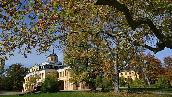 Herbstlich färben sich die Blätter der Bäume im Park Belvedere. Schloss Belvedere mit seinem weitläufigen Park war die barocke Sommerresidenz der Familie von Sachsen-Weimar und Eisenach