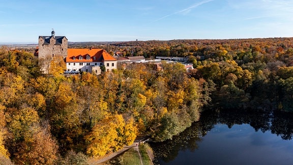 Burg Ballenstedt im Herbst