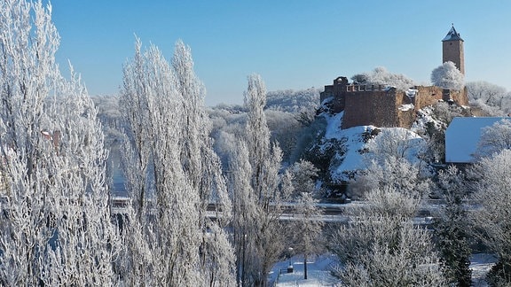 Burg Giebichenstein im Winter, im Vordergrund Bäume mit Raureif.