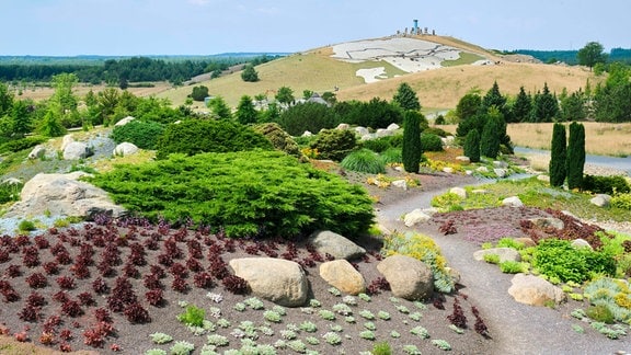 Lausitzer Findlingspark Nochten: Blick entlang eines Weges, der sich in Kurven über Hügel schlängelt, vorbei an mediterran aussehender Landschaft mit Sukkulenten und Steinen, im Hintergrund ein gelber Hügel mit einem Gebäude